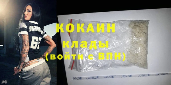 стаф Бородино
