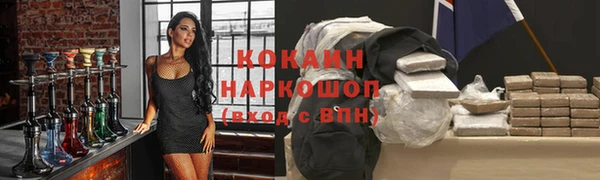 стаф Бородино