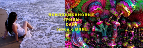 эйфоретик Богородск