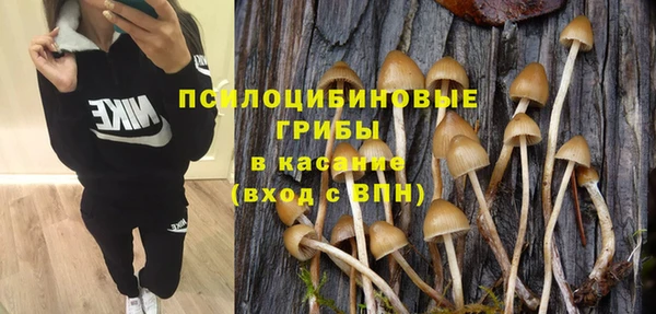 марки nbome Богородицк