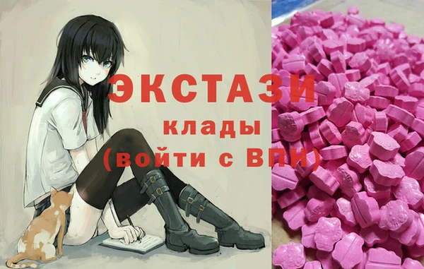 стаф Бородино