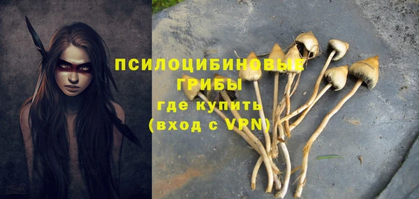 эйфоретик Богородск