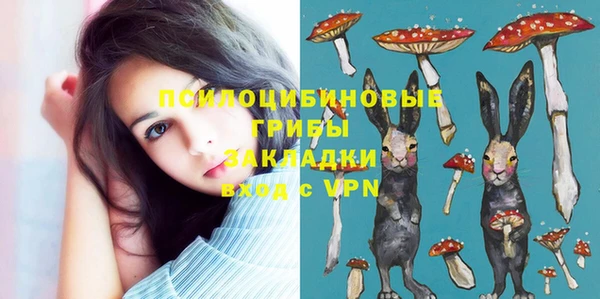 метадон Богданович