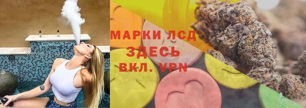 метадон Богданович